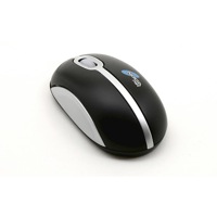 Mouse NOGA NGM-113